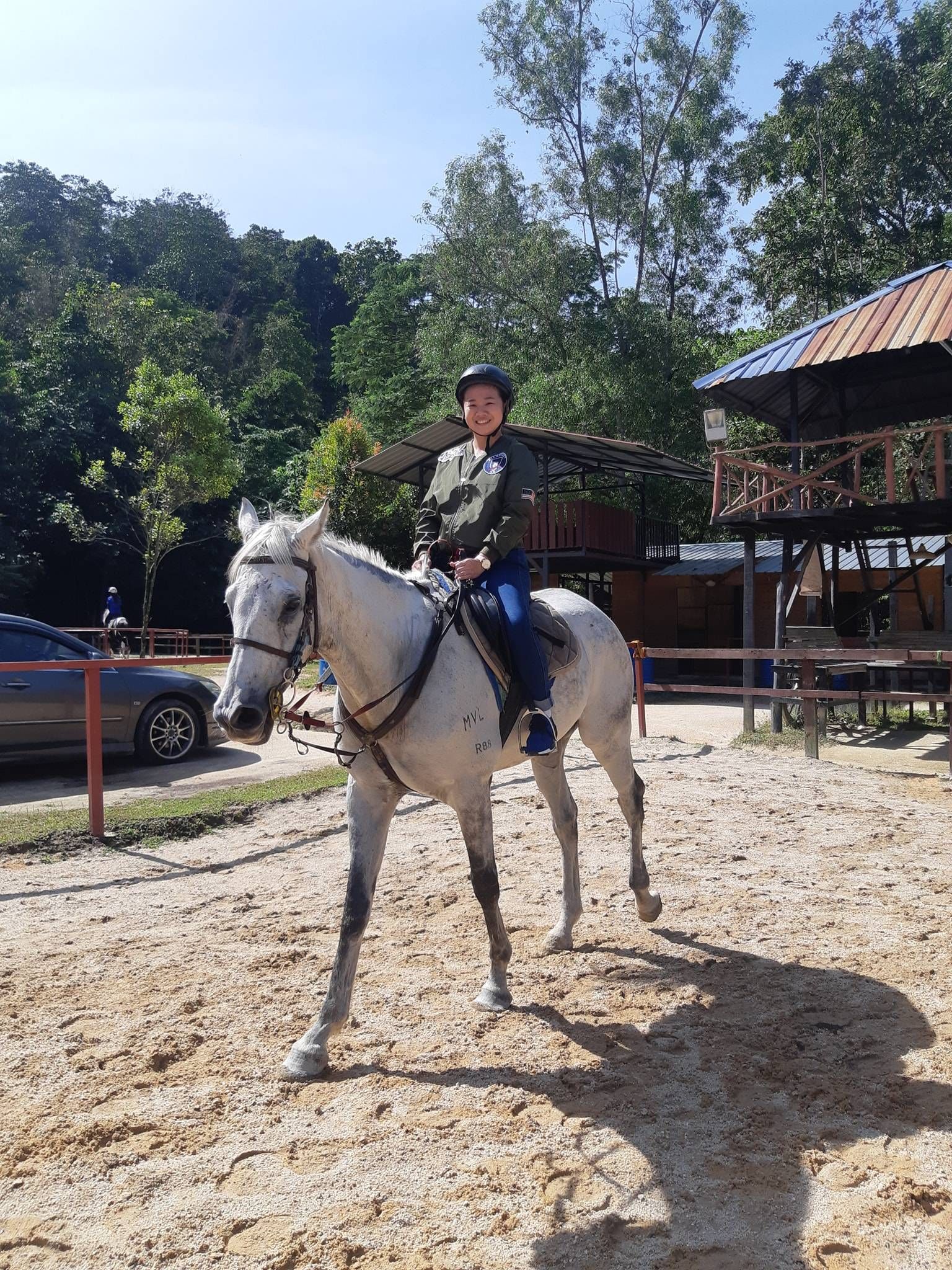 Horse Riding Experience: Learn to Ride in Rhythm