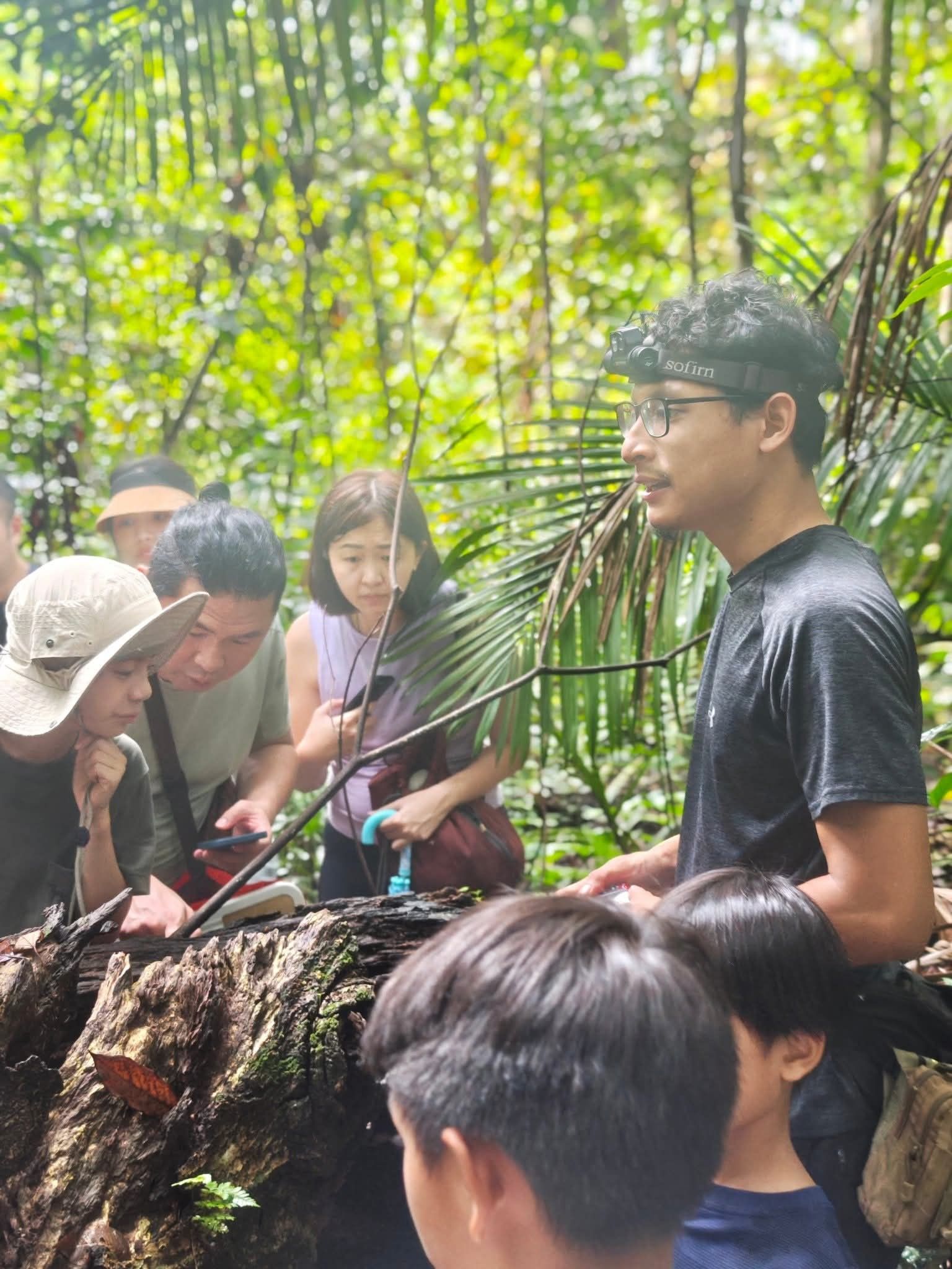 Explore the Day Forest with a Wildlife Scientist