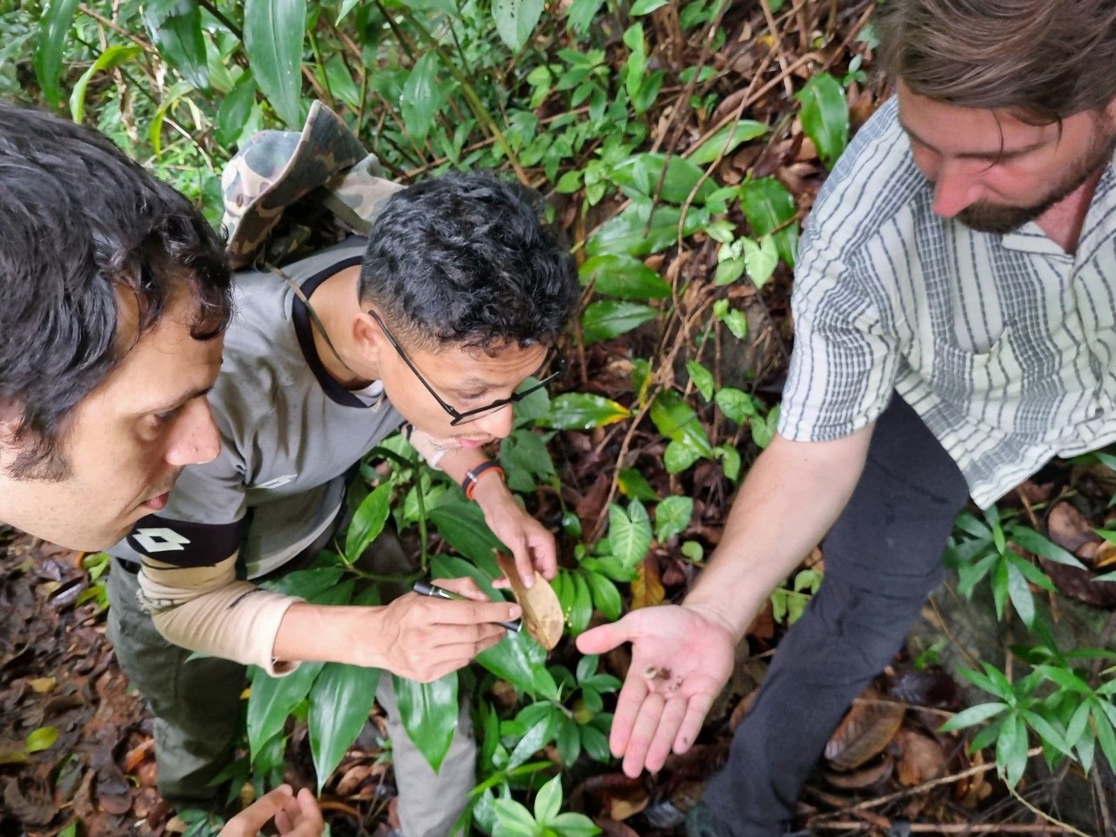 A Day as a Wildlife Scientist