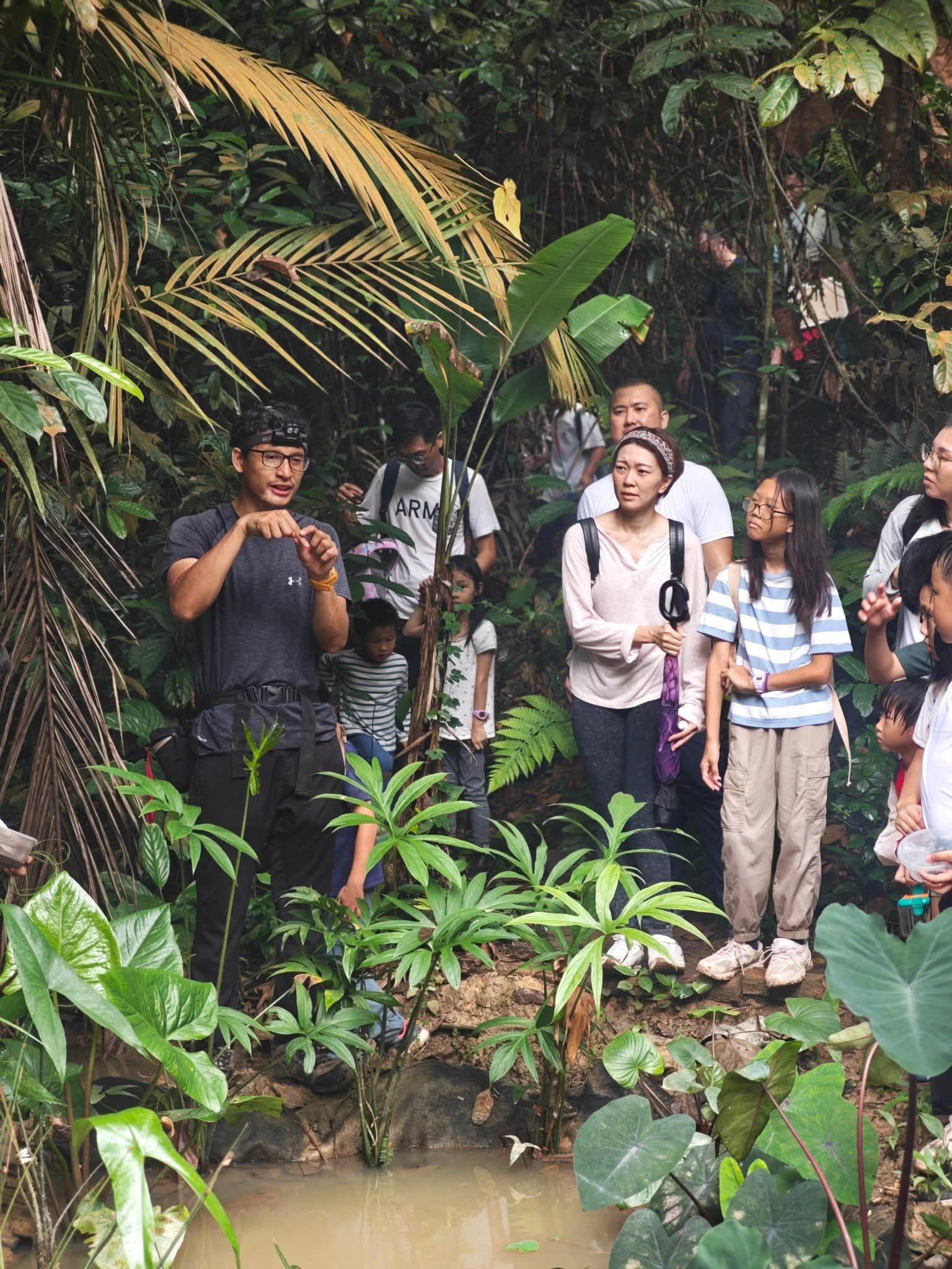 Into the Night Forest Adventure with a Wildlife Scientist