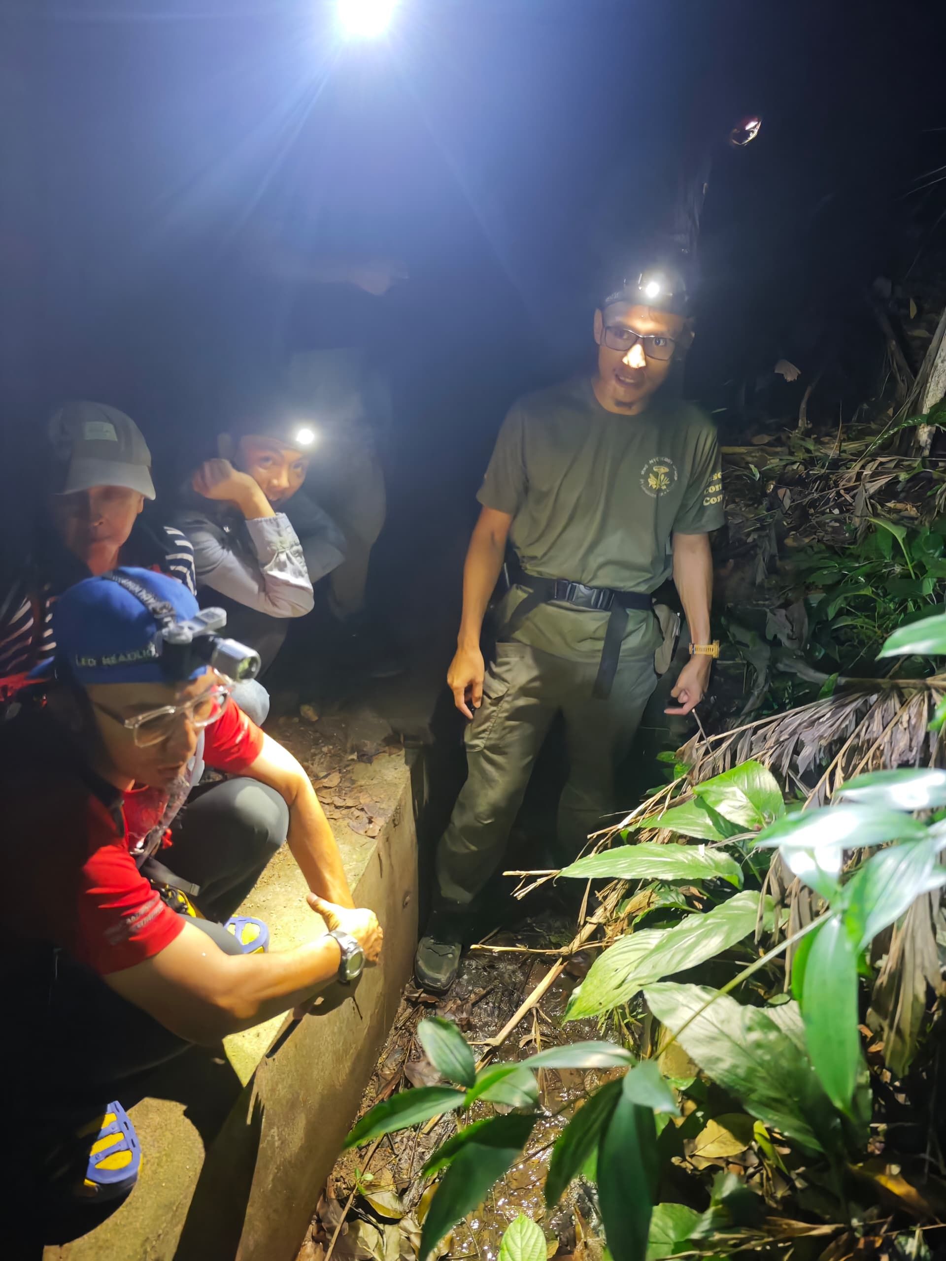 Explore the Night Forest with a Wildlife Scientist