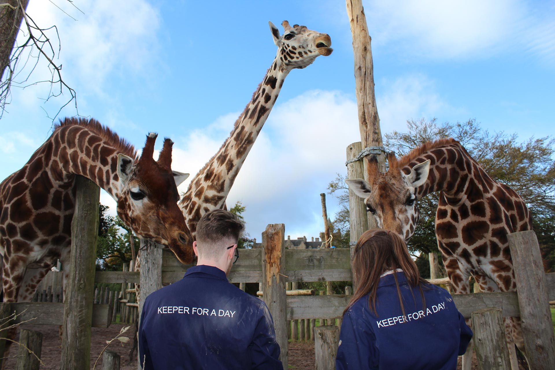 Experience Life as a Zookeeper